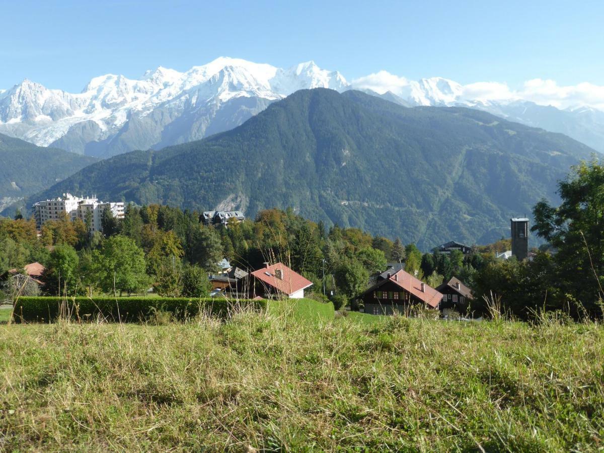 Chalet Les Chouchous ปาสซี ภายนอก รูปภาพ
